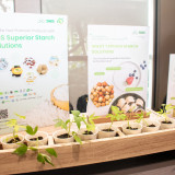 มจธ. สวทช. พร้อมพันธมิตร เดินหน้ายกระดับอุตสาหกรรมมันสำปะหลั ... พารามิเตอร์รูปภาพ 4